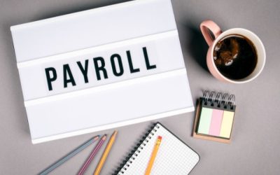 Payroll Made Easy: Customised Payslips and ATO Compliance, STP Reporting